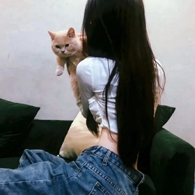 仙王的日常生活第三季