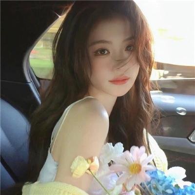 纸房子:全球热潮